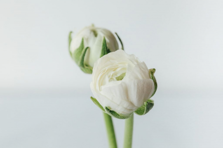 bouquet-mariage-hiver-rose