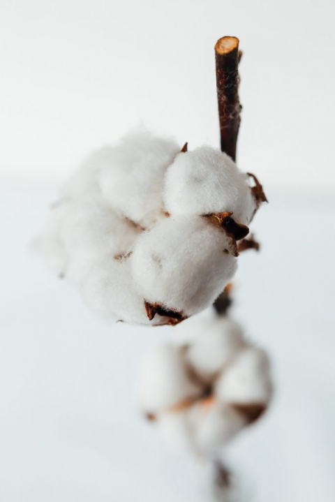 bouquet-mariage-hiver-coton